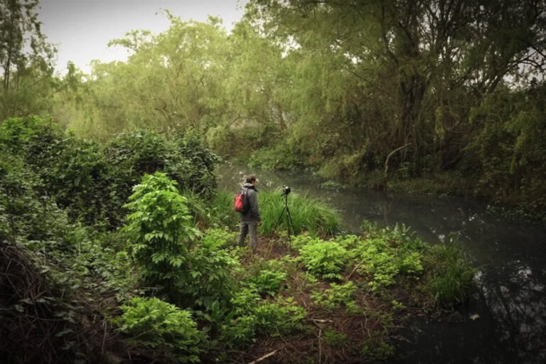 L-Acoustics x Sounds Right: Making a Meaningful Impact by Showcasing the Elements of Music in Nature  featured image